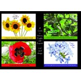 Set Scripture Greeting Cards from Israel 